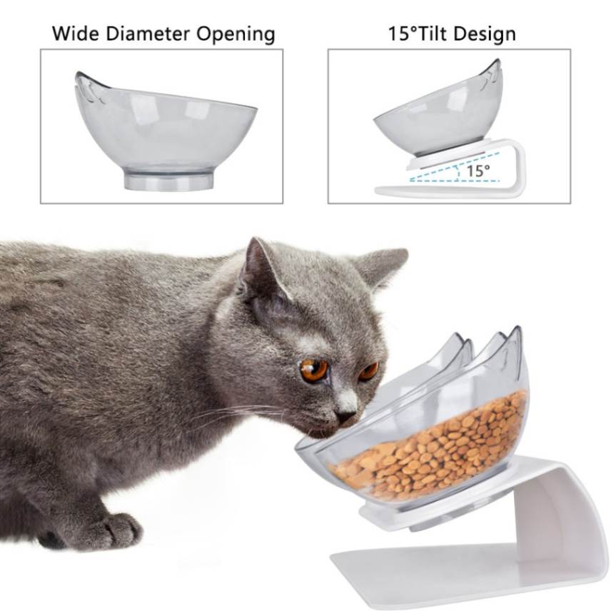 Creative Dual Raised Cat Food Bowls Set