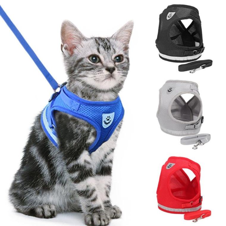 Adjustable cat harness and leash set with padded vest, breathable polyester material, lockable buckle closure, reflective strips for nighttime visibility, and sturdy D-ring attachment – ideal for kittens and adult cats for outdoor walks, leash training, vet visits, and travel.