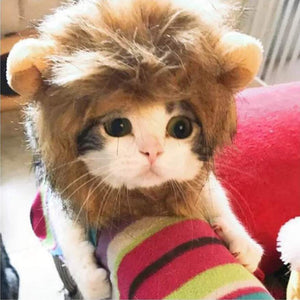 Cat Lion Costume