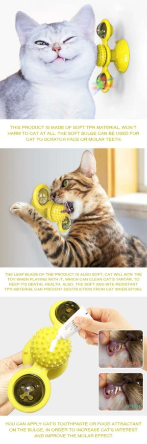 Interactive Cat Puzzle Toys