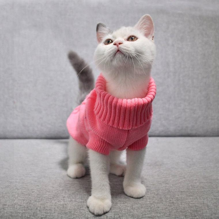 Ali'spet Designer Cat Sweater made from soft, thick cotton with a snug fit, providing warmth and comfort for cats during winter, holidays, parties, photoshoots, and outdoor adventures – available in multiple sizes for kittens, adult cats, and small dogs.