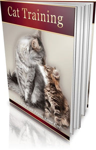 Cat Training - How You Can Train Your Cat! - Cat Training Books