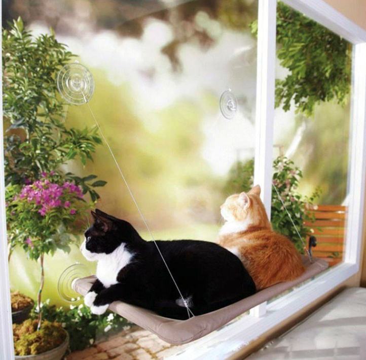 Cat Window Hammock