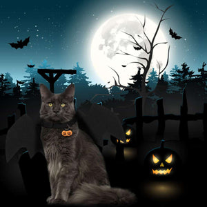 Halloween Costumes For Cats - Bat Wings with 2 Pcs Pumpkin Bells