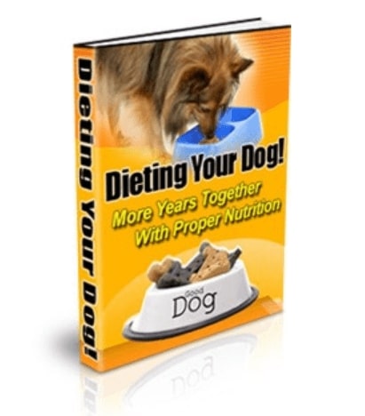 dieting your dog