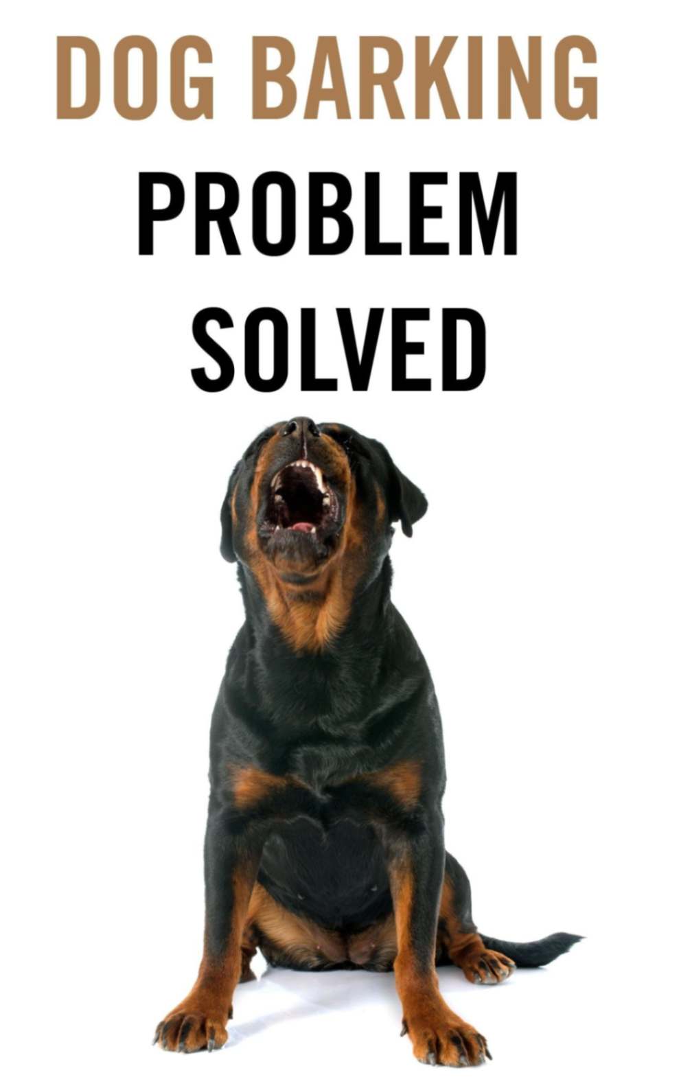 dog barking solutions
