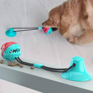Molar Dog Chew Toys