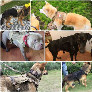 Dog Military Harness with Handle