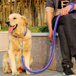 dog rope leash