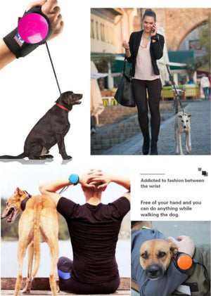 Hands Free Dog Running Leash for Small and Medium size Dogs