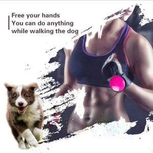 Hands Free Dog Running Leash for Small and Medium size Dogs