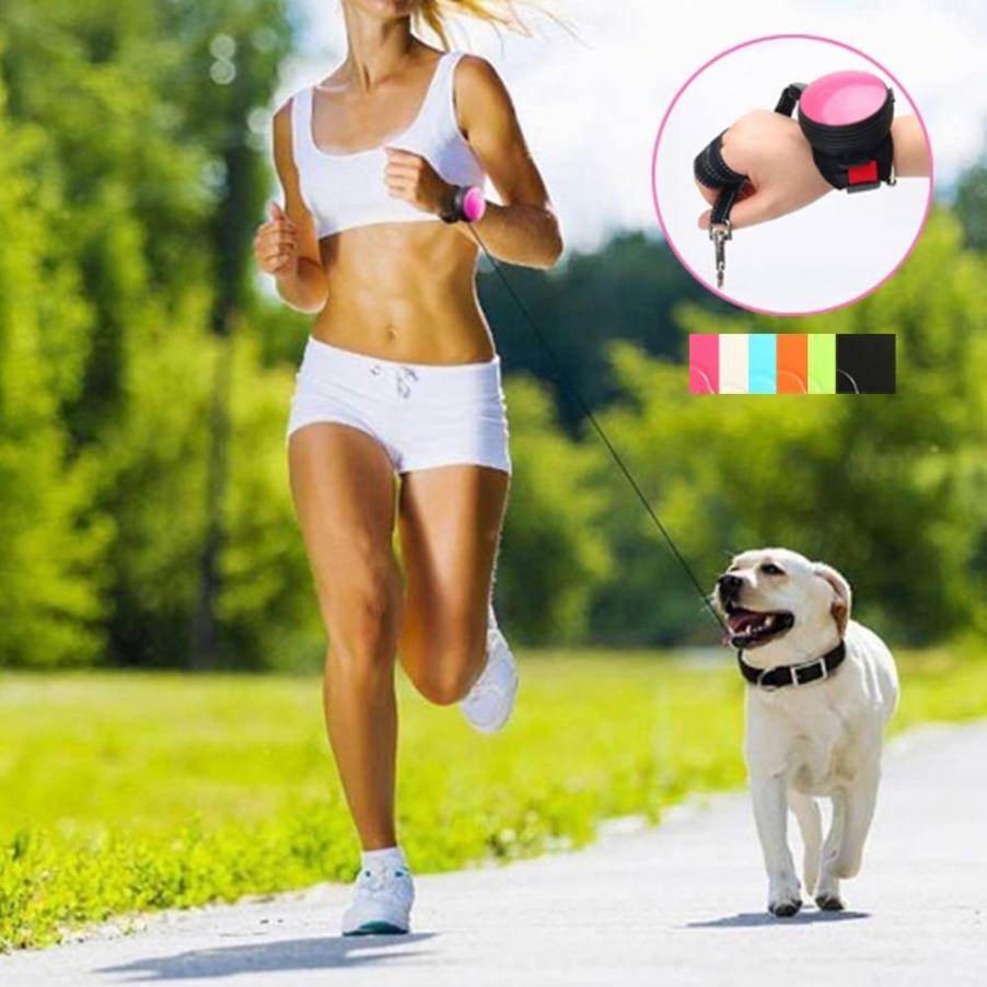 dog running leash