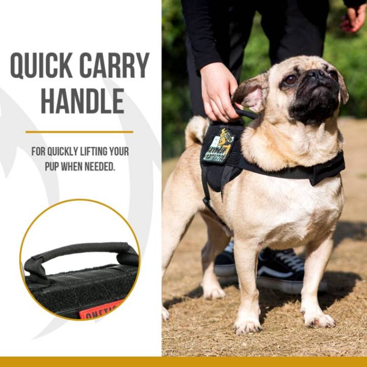 Dog Tactical Harness with Durable Vertical Handle for Small Dogs