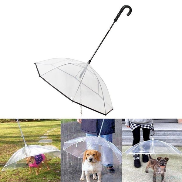 Dog Umbrella