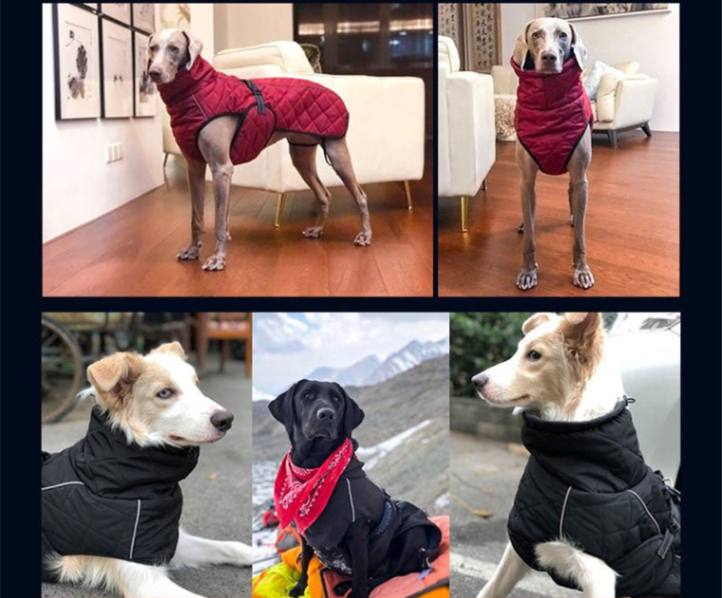 ASMPET Dog Winter Jacket