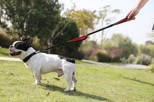 Benepaw Reflective Double Handle Dog Leash with Padding