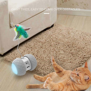 Smart Interactive Electronic Cat Toys are the ideal cat toys for both indoor and outdoor cats.