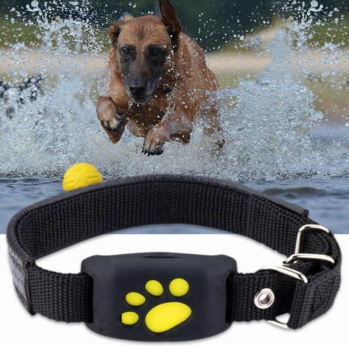 GPS Dog Collar Tracker