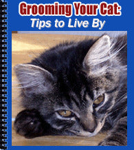 grooming your cat