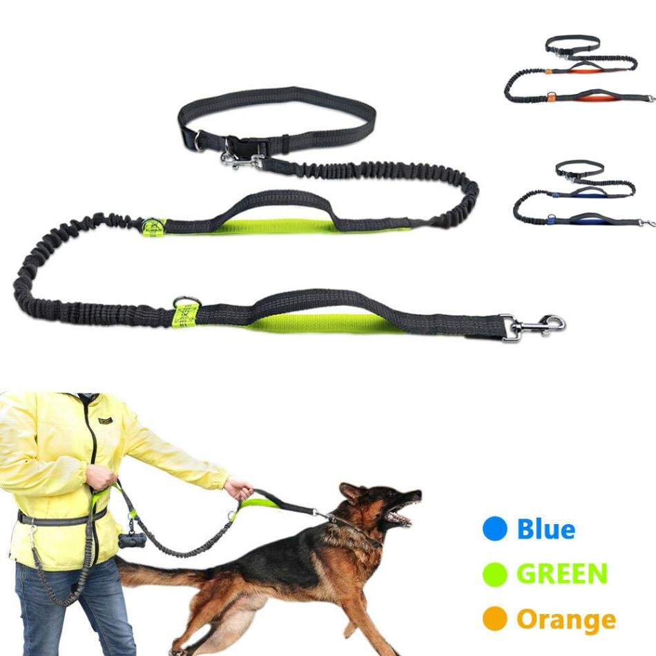 Premium Quality Hands Free Dog Leash w/Adjustable Waist Belt