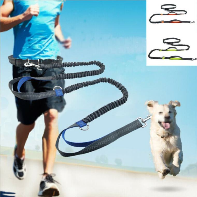 Premium Quality Hands Free Dog Leash w/Adjustable Waist Belt