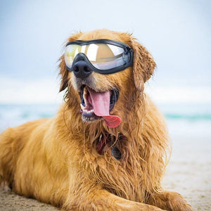 High Quality Large Dog UV K9 Goggles