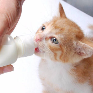 50ML Kitten Feeding Bottle Set with Cleaning Brush