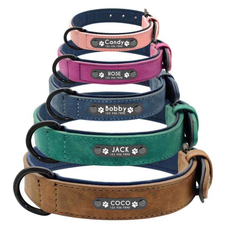 Didog Custom Leather Dog Collars and Leashes Sets with Personalized Name Plates