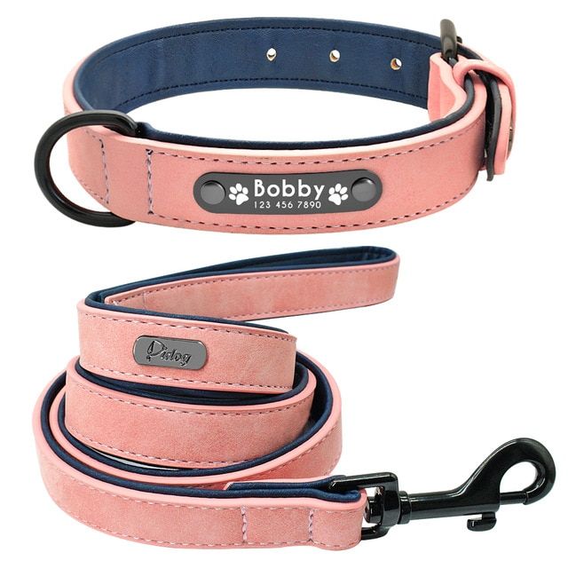 Didog Custom Leather Dog Collars and Leashes Sets with Personalized Name Plates