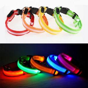 Vieruodis LED Cat Collar - Waterproof, Adjustable Light-Up Collar for Nighttime Visibility and Cat Safety | Bright LED nylon collar with Velcro closure, designed to keep cats visible and safe in low-light conditions. Perfect for outdoor adventures and nighttime walks, with an adjustable fit for all cat sizes.