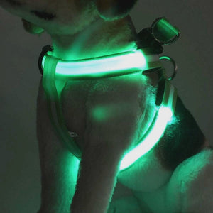 Rechargeable LED Dog Harness
