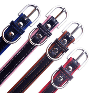 AiruiDog Adjustable Leather Padded Personalized Dog Collars with Engraved Nameplates