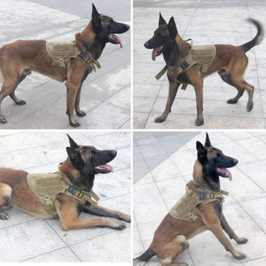 Tactical Police Dog Harness – Durable 1000D Nylon, MOLLE & Hook-and-Loop System for Customization, Lightweight and Breathable with Reinforced Top Handle for Control – Ideal for K9 Units, Law Enforcement, and Military Dogs