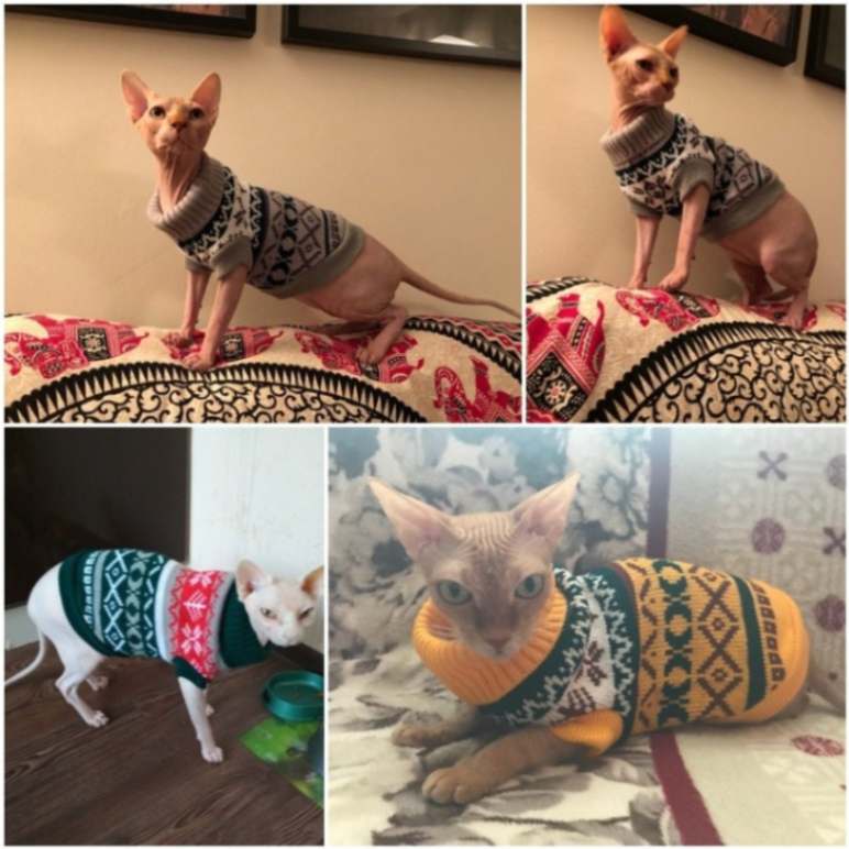 Petalk Snowflake Sphinx Sweaters For Cats