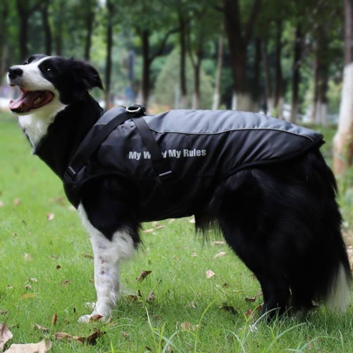Winter Jacket For Dogs with Harness - Warm and Waterproof