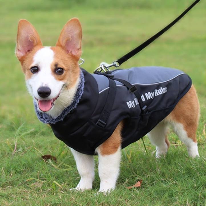 Winter Jacket For Dogs with Harness - Warm and Waterproof