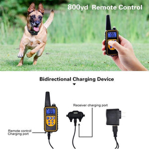 330 Yard Range Remote Dog Training Collar - Abound Pet Supplies