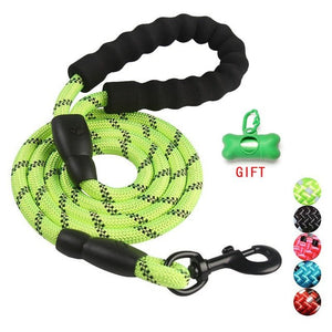 5 FT Strong Dog Leash with Comfortable Padded Handle - Abound Pet Supplies