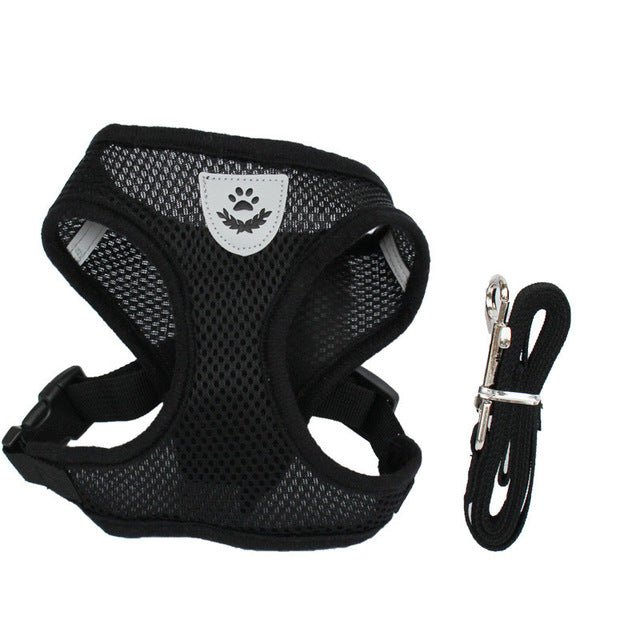 Adjustable Cat Harness with Matching Leash - Abound Pet Supplies