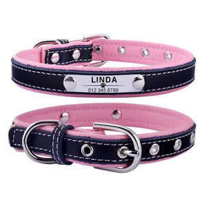 AiruiDog Adjustable Leather Padded Custom Dog Collar with Engraved Nameplate - Abound Pet Supplies
