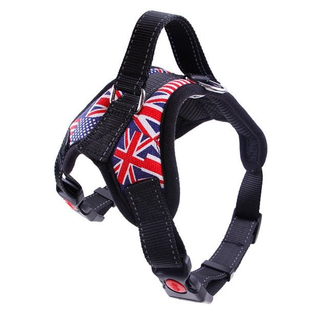 Breathable Adjustable Halter Dog Harness for Small, Medium & Large Dogs - Abound Pet Supplies
