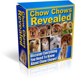 Chow Chows Revealed - Abound Pet Supplies