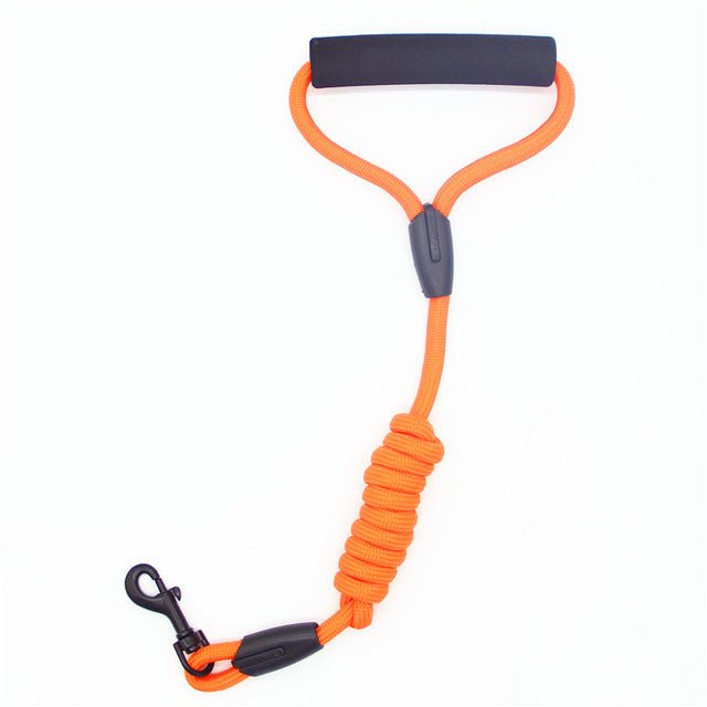Comfortable & Shock Absorbing 4ft Dog Leash with Comfy Foam Handle - Abound Pet Supplies