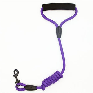 Comfortable & Shock Absorbing 4ft Dog Leash with Comfy Foam Handle - Abound Pet Supplies