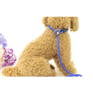 COOLFIELD S/M/L Dog Nylon Leash - Abound Pet Supplies