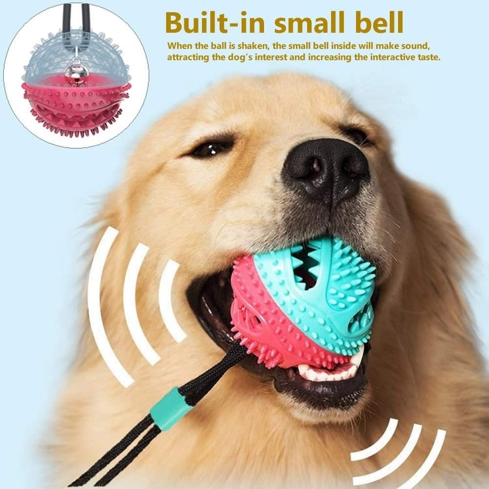 Dog Chew Molar Bite Toy - Abound Pet Supplies