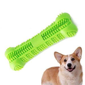 Dog Toothbrush Stick & Chew Toy - Abound Pet Supplies