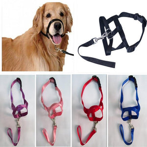 Dog Training Halter Collar - Abound Pet Supplies