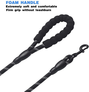 Dual Dog Leash with 360 Degree Swivel - Abound Pet Supplies