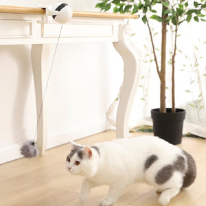 Electronic Motion Interactive Cat Toy - Abound Pet Supplies